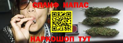 прущие грибы Кунгур