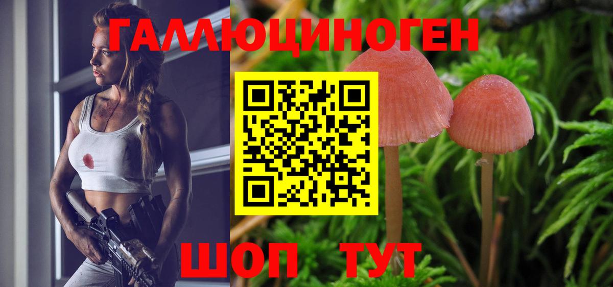 Кропоткин  Галлюциногенные грибы мицелий  Псилоцибиновые грибы прущие грибы  Вход с VPN 
