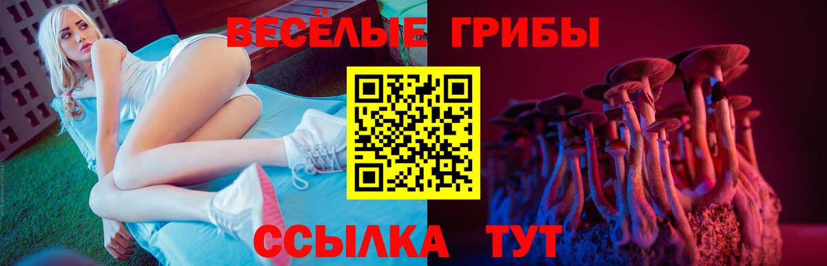 Псилоцибиновые грибы Magic Shrooms Кропоткин